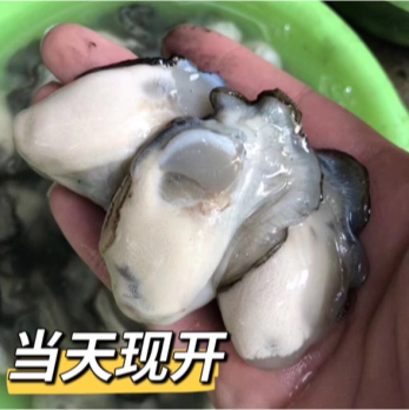 当天现开新鲜生蚝肉原汁原浆牡蛎肉海蛎子肉批发包邮