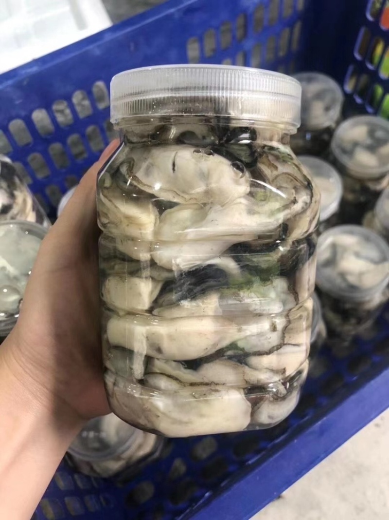 当天现开新鲜生蚝肉原汁原浆牡蛎肉海蛎子肉批发包邮