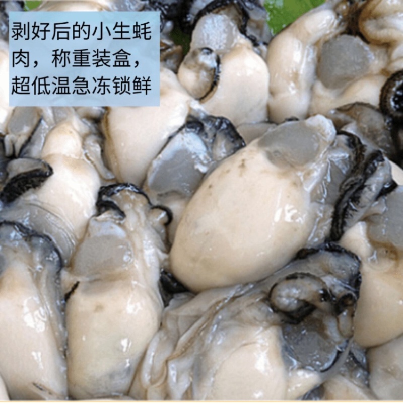 当天现开新鲜生蚝肉原汁原浆牡蛎肉海蛎子肉批发包邮