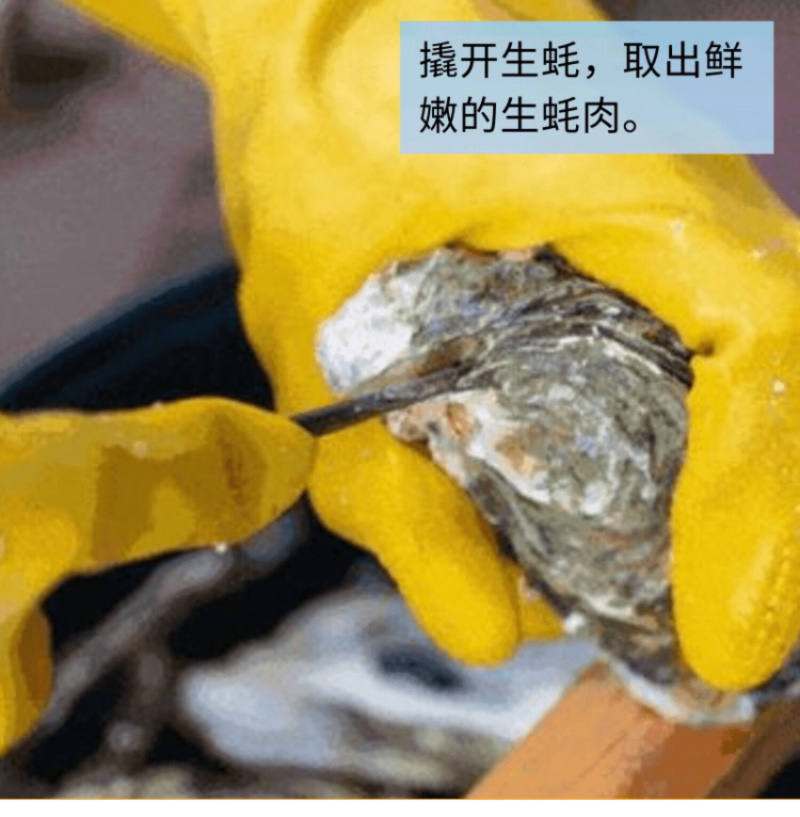 当天现开新鲜生蚝肉原汁原浆牡蛎肉海蛎子肉批发包邮
