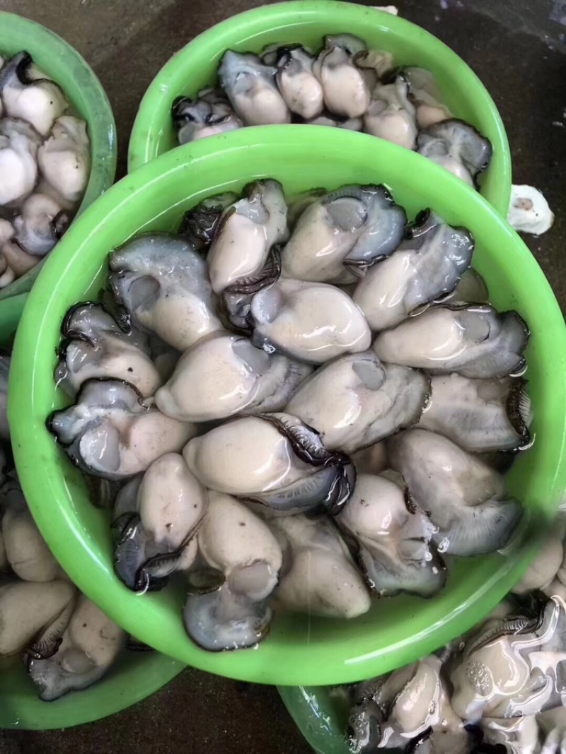 当天现开新鲜生蚝肉原汁原浆牡蛎肉海蛎子肉批发包邮