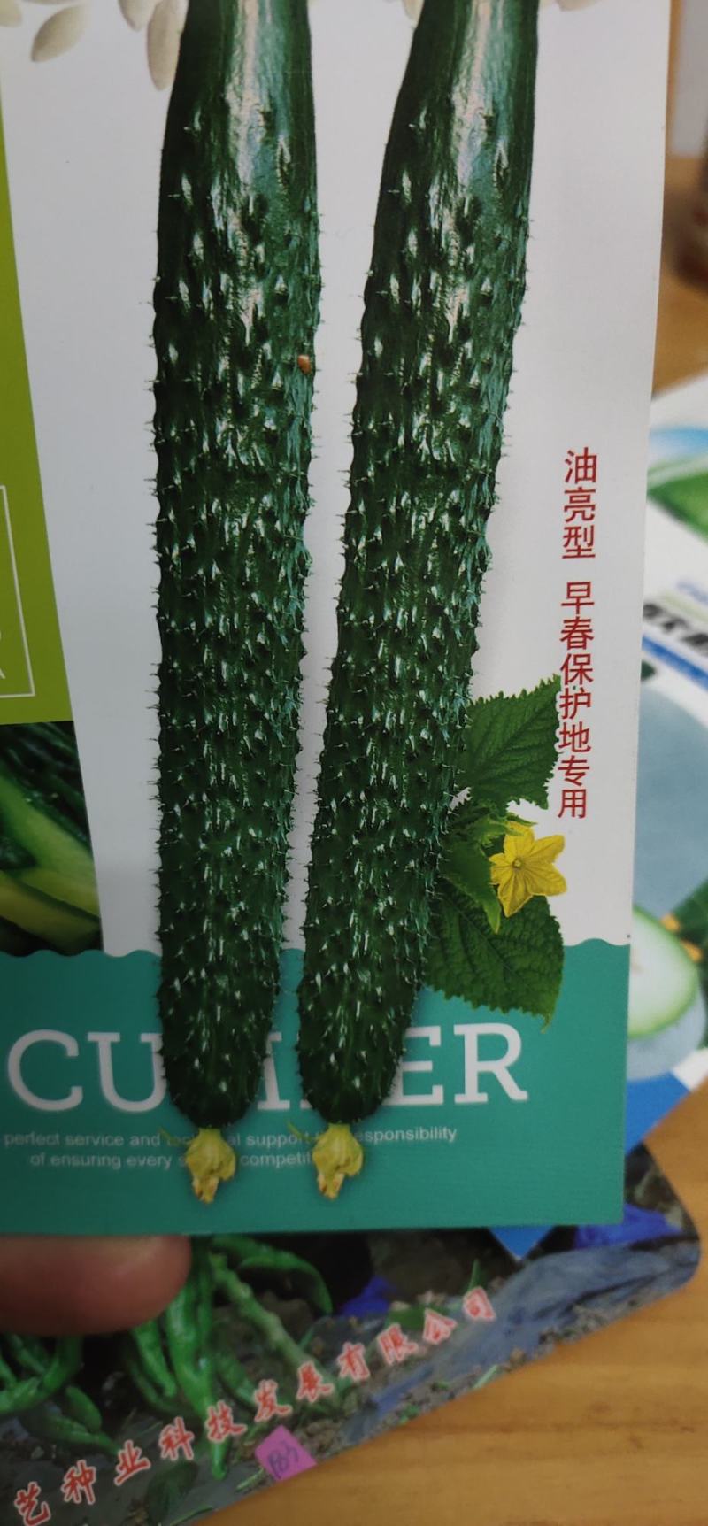黄瓜种子H06种腰瓜长33厘米左右短把密刺皮色黑亮