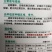 黄瓜种子H06种腰瓜长33厘米左右短把密刺皮色黑亮