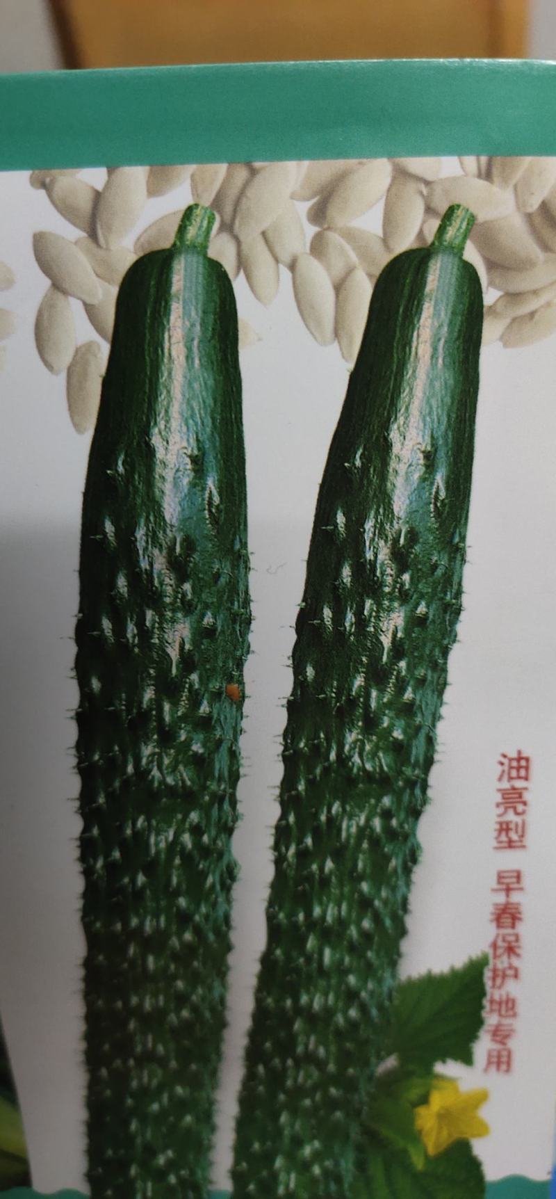 黄瓜种子H06种腰瓜长33厘米左右短把密刺皮色黑亮