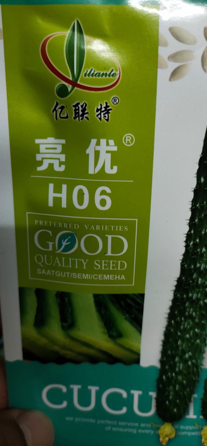 黄瓜种子H06种腰瓜长33厘米左右短把密刺皮色黑亮