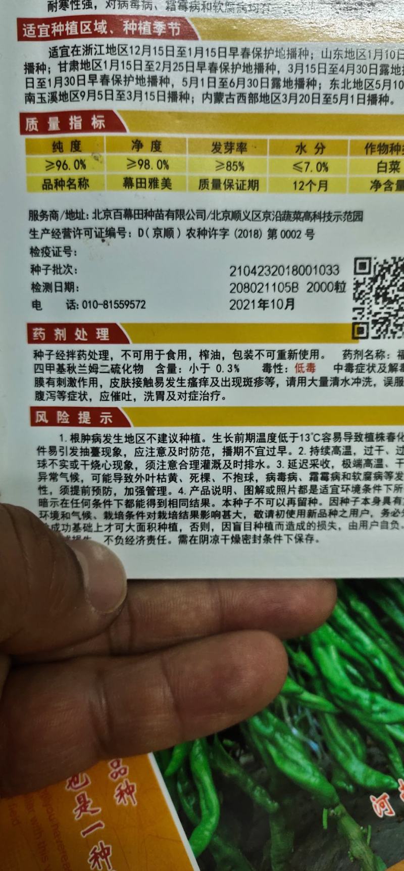 白菜种子黄心大白菜叶球合抱，炮弹形，结球快