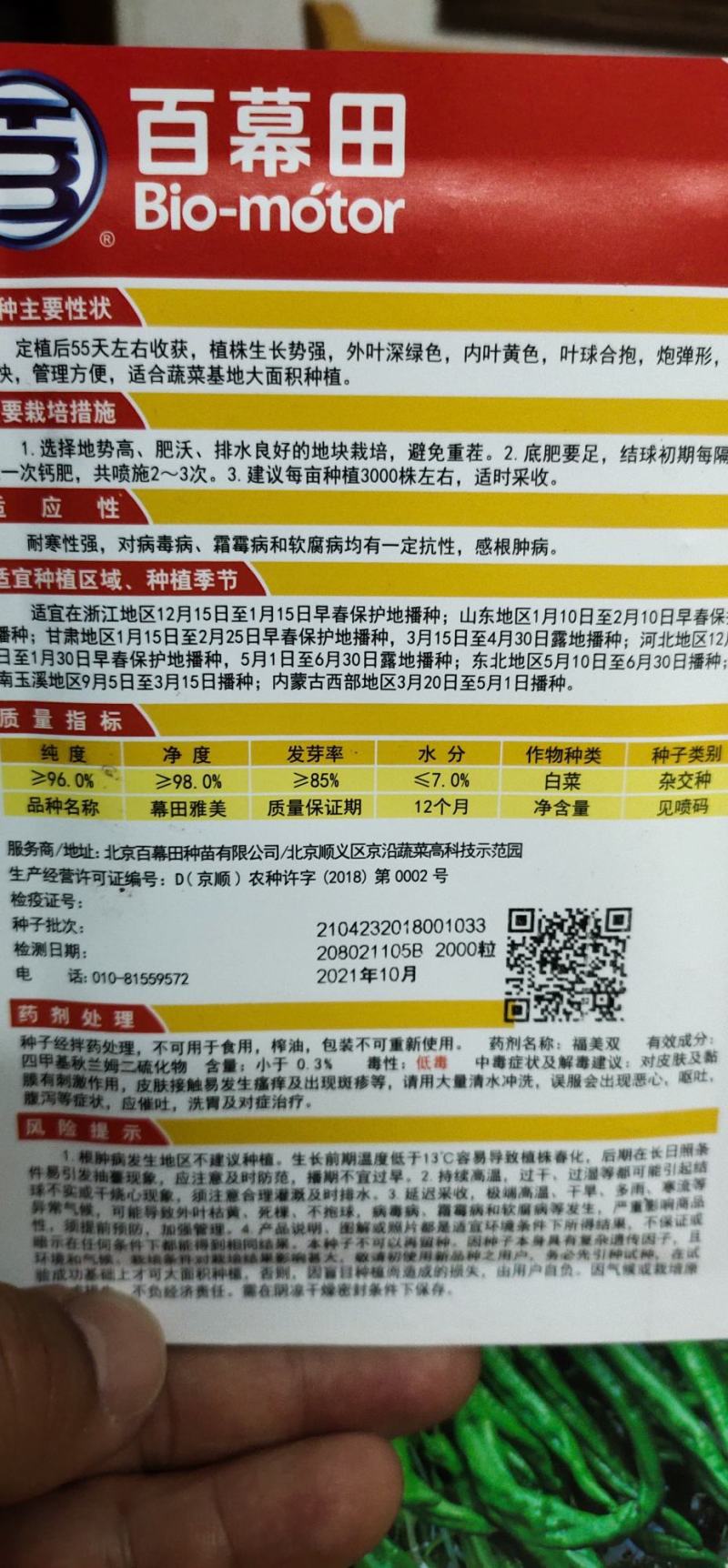 白菜种子黄心大白菜叶球合抱，炮弹形，结球快