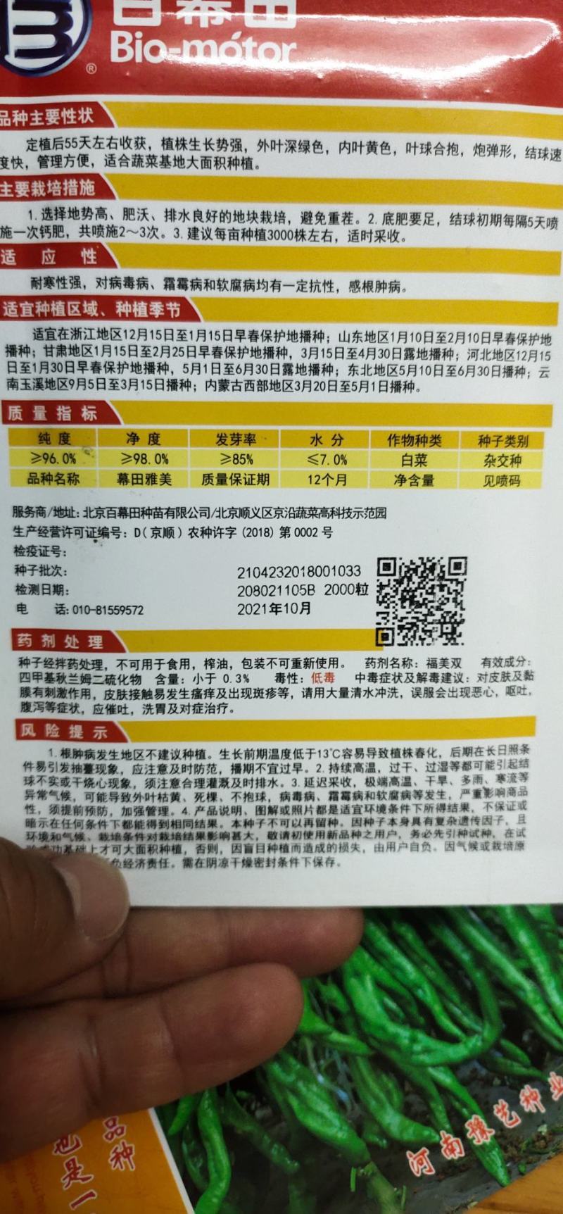 白菜种子黄心大白菜叶球合抱，炮弹形，结球快