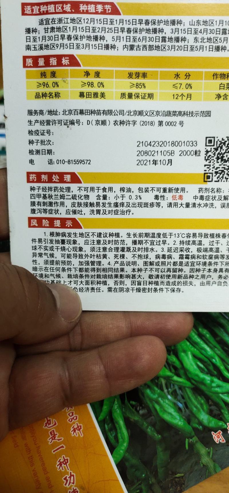 白菜种子黄心大白菜叶球合抱，炮弹形，结球快