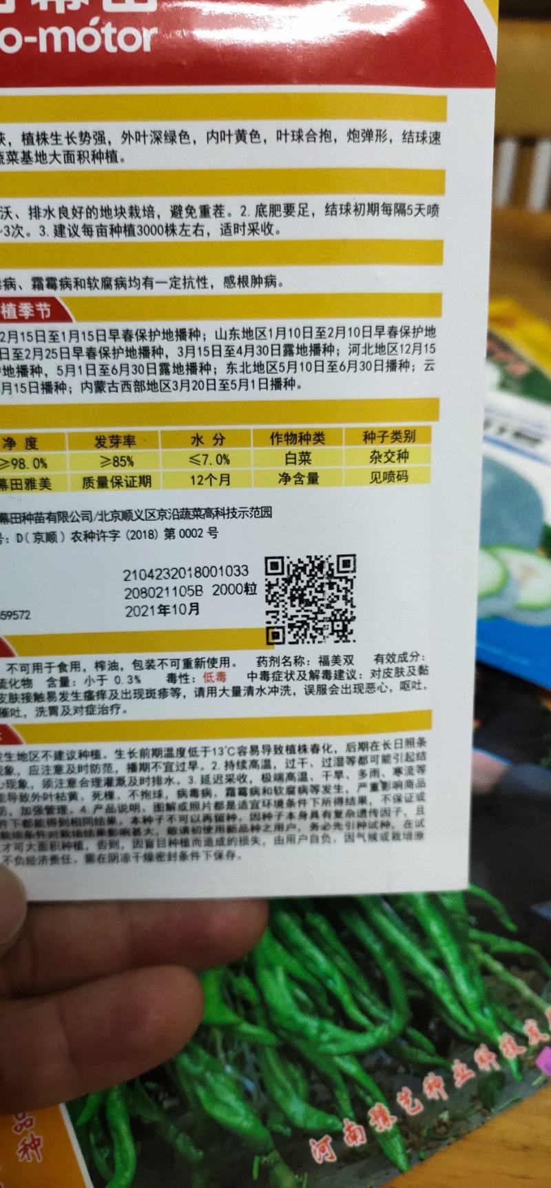 白菜种子黄心大白菜叶球合抱，炮弹形，结球快