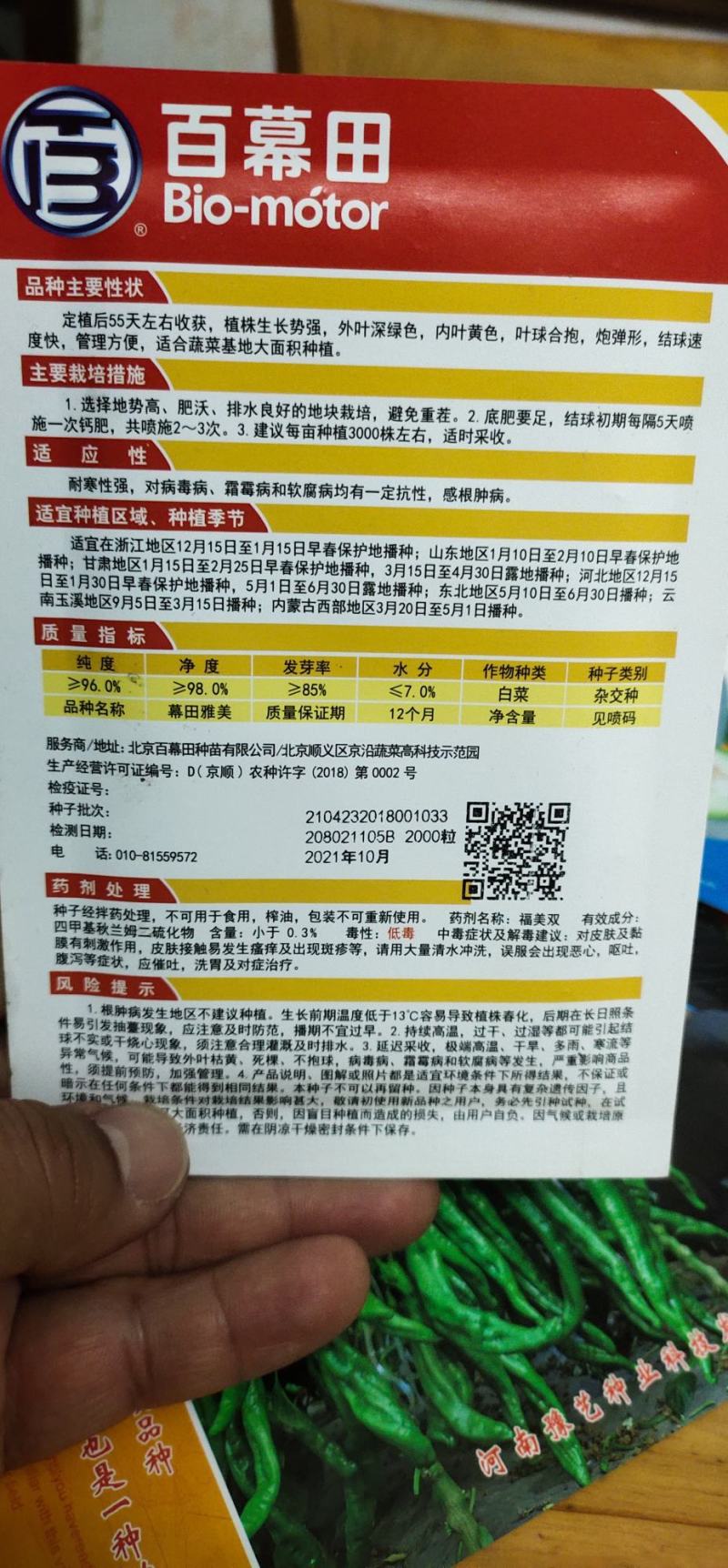 白菜种子黄心大白菜叶球合抱，炮弹形，结球快