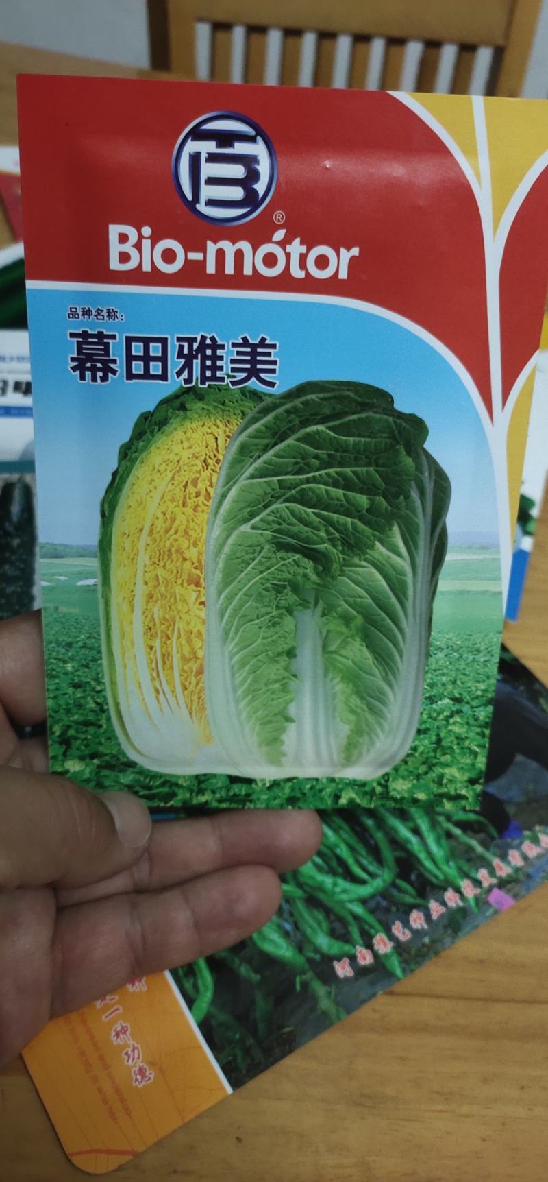 白菜种子黄心大白菜叶球合抱，炮弹形，结球快