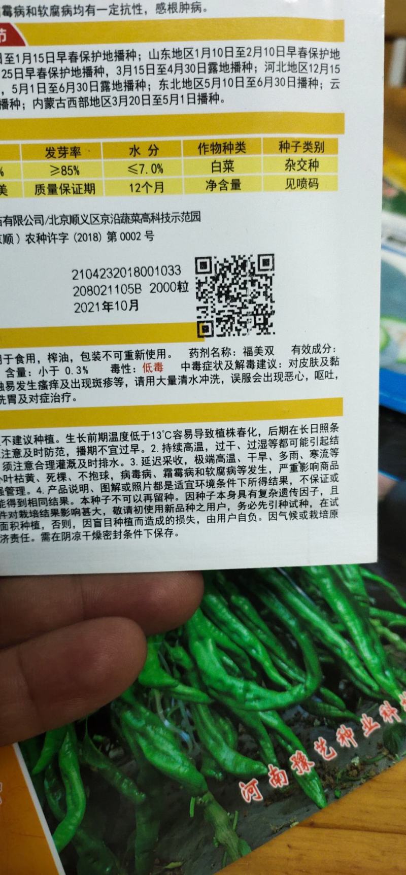 白菜种子黄心大白菜叶球合抱，炮弹形，结球快