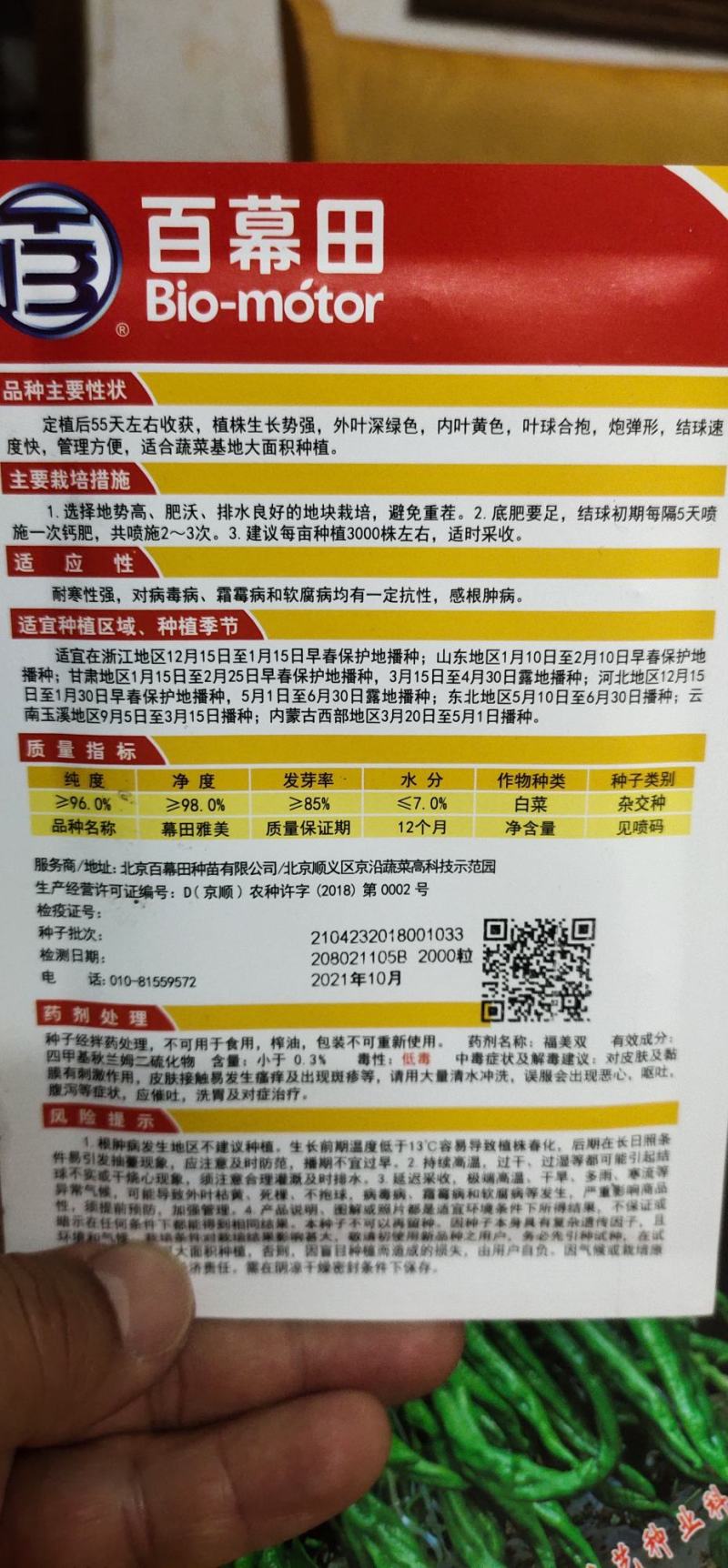 白菜种子黄心大白菜叶球合抱，炮弹形，结球快