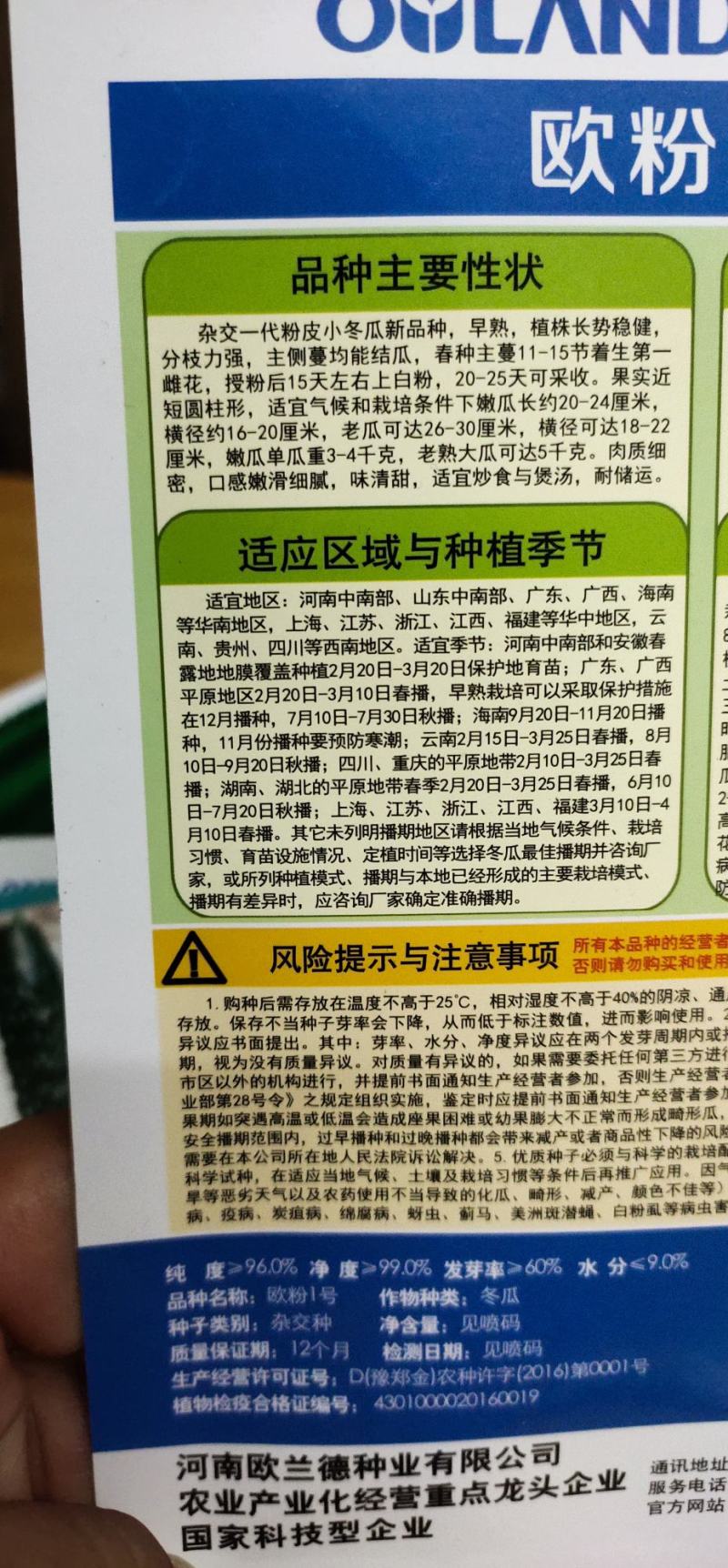 冬瓜种子代粉皮小冬瓜新品种，早熟，植株长势稳健，