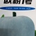 冬瓜种子代粉皮小冬瓜新品种,早熟,植株长势稳健,
