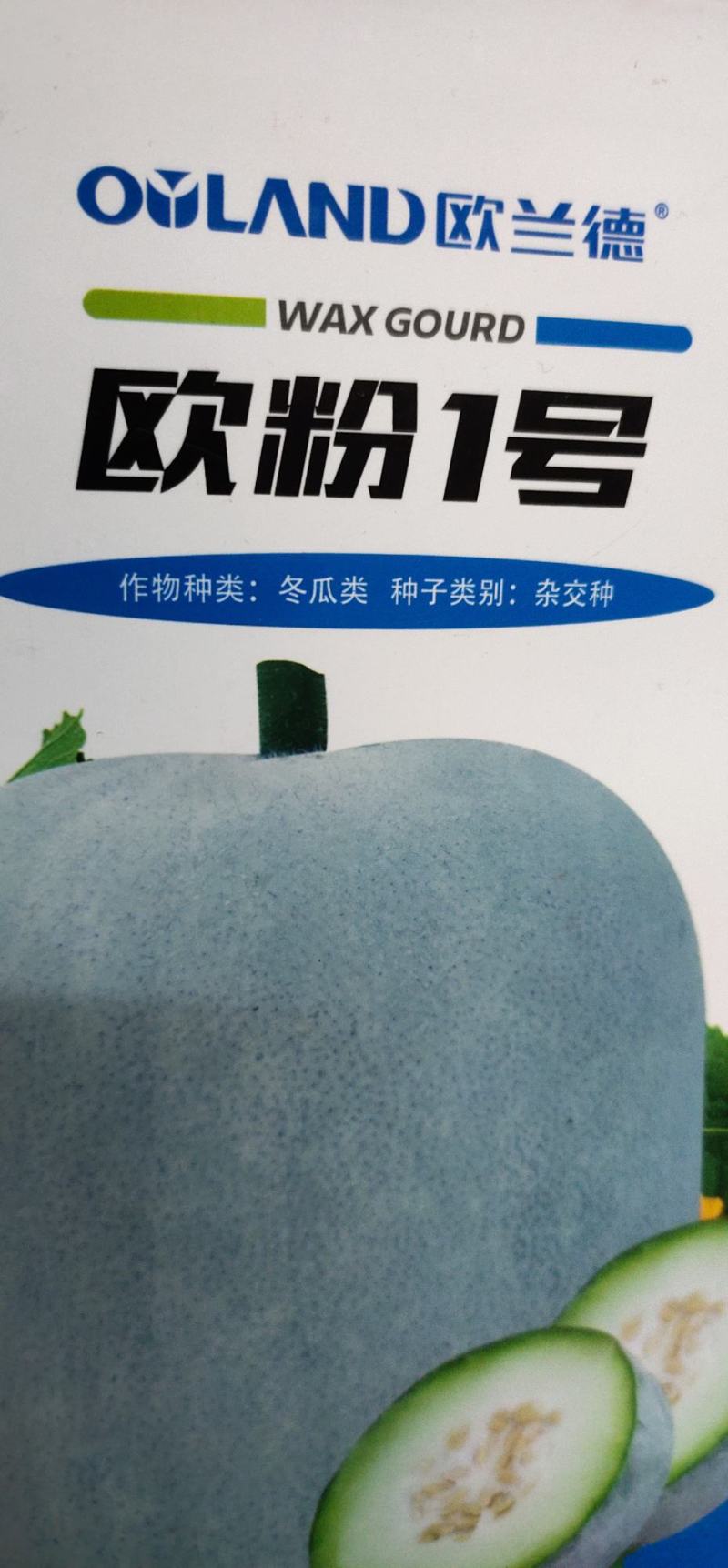 冬瓜种子代粉皮小冬瓜新品种，早熟，植株长势稳健，