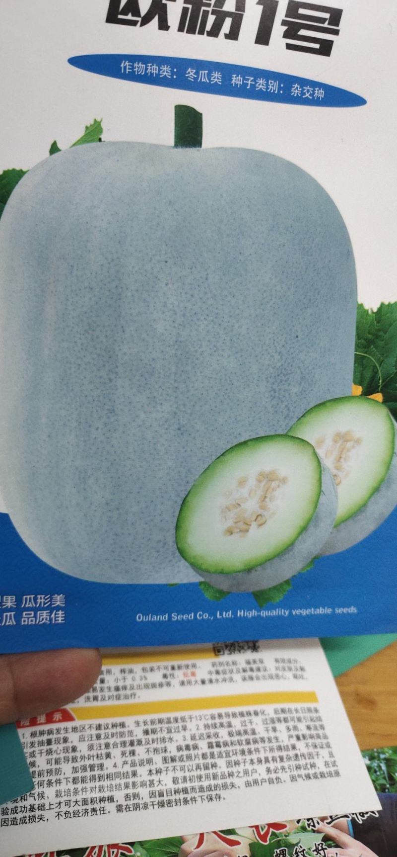 冬瓜种子代粉皮小冬瓜新品种，早熟，植株长势稳健，
