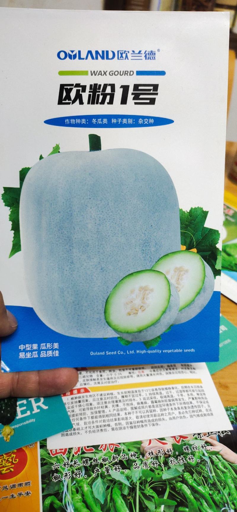 冬瓜种子代粉皮小冬瓜新品种，早熟，植株长势稳健，