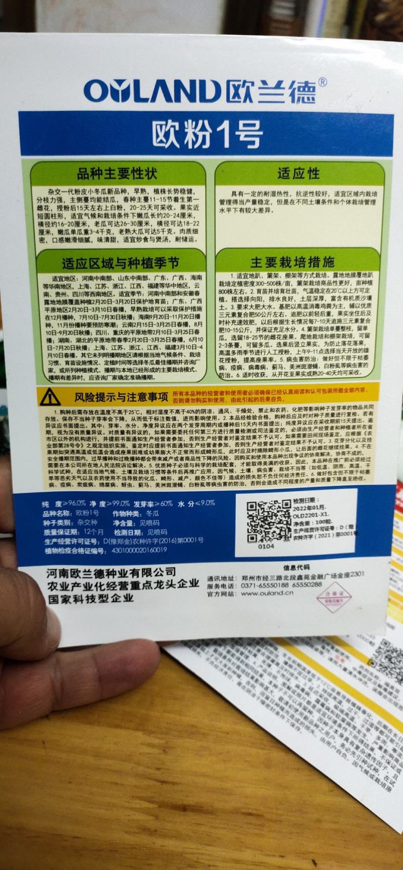冬瓜种子代粉皮小冬瓜新品种，早熟，植株长势稳健，