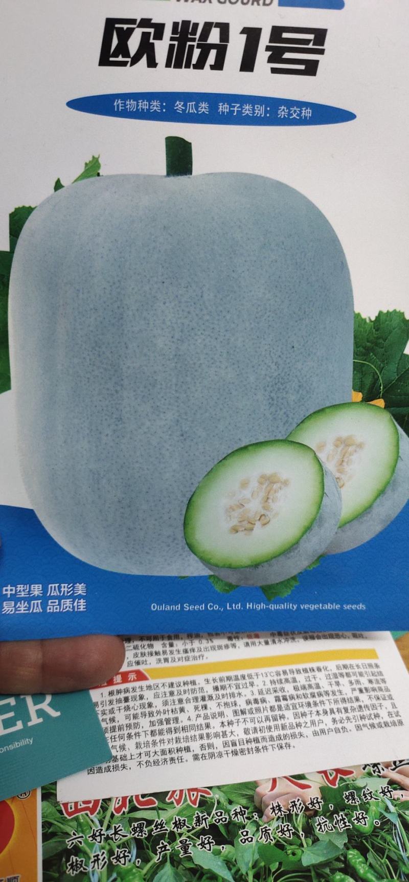 冬瓜种子代粉皮小冬瓜新品种，早熟，植株长势稳健，