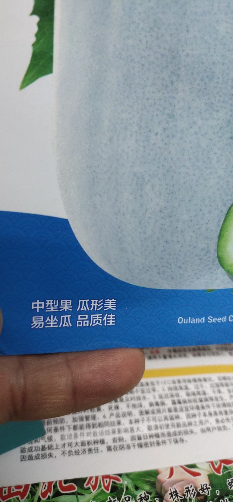 冬瓜种子代粉皮小冬瓜新品种，早熟，植株长势稳健，