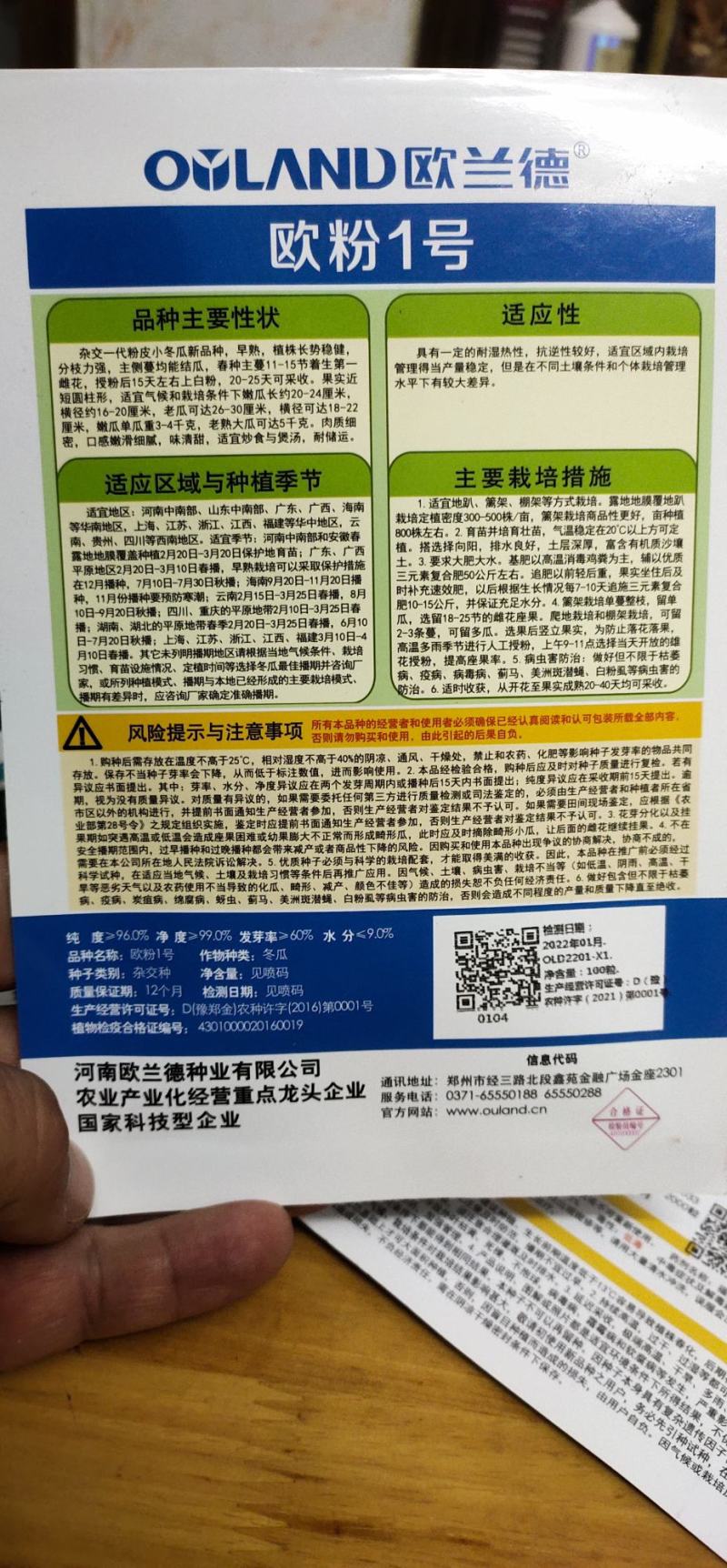 冬瓜种子代粉皮小冬瓜新品种，早熟，植株长势稳健，