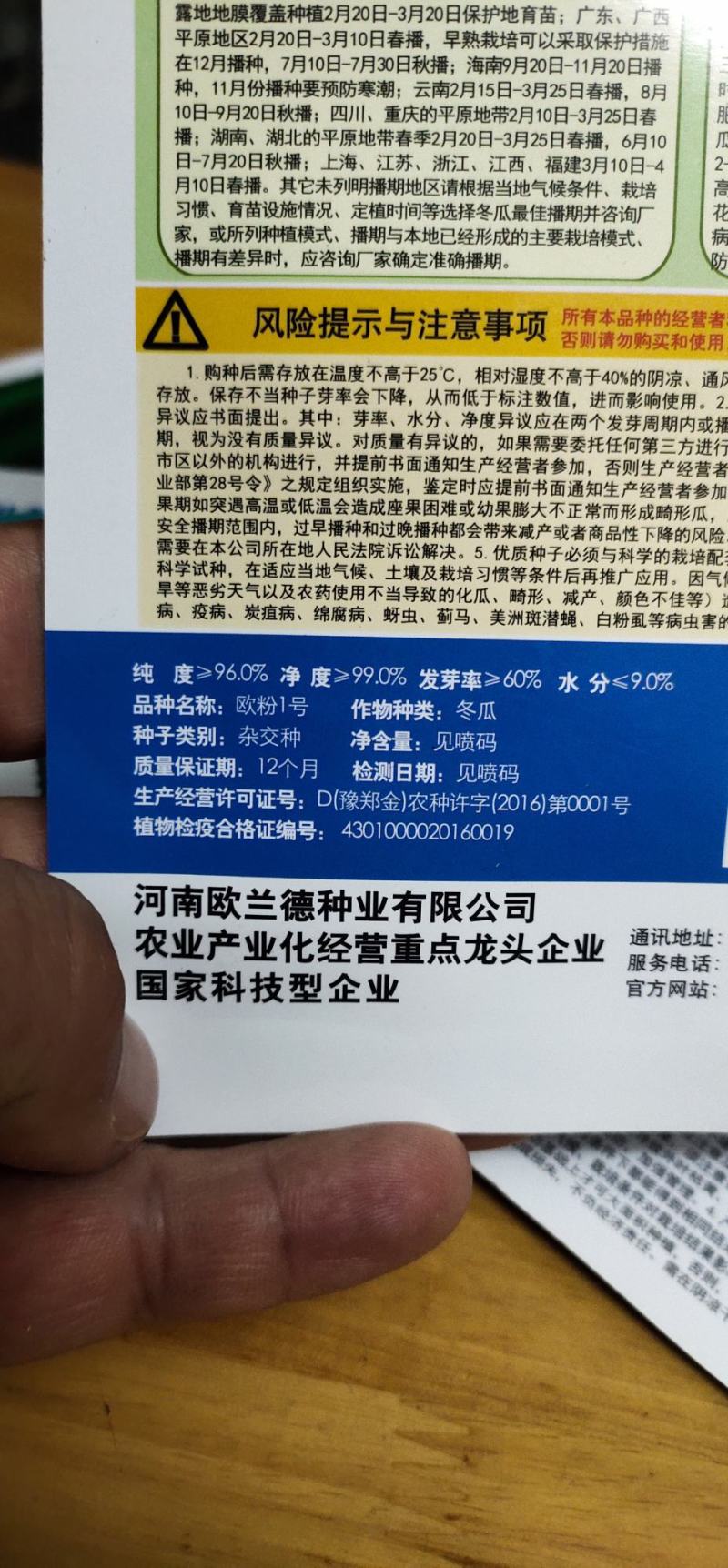 冬瓜种子代粉皮小冬瓜新品种，早熟，植株长势稳健，