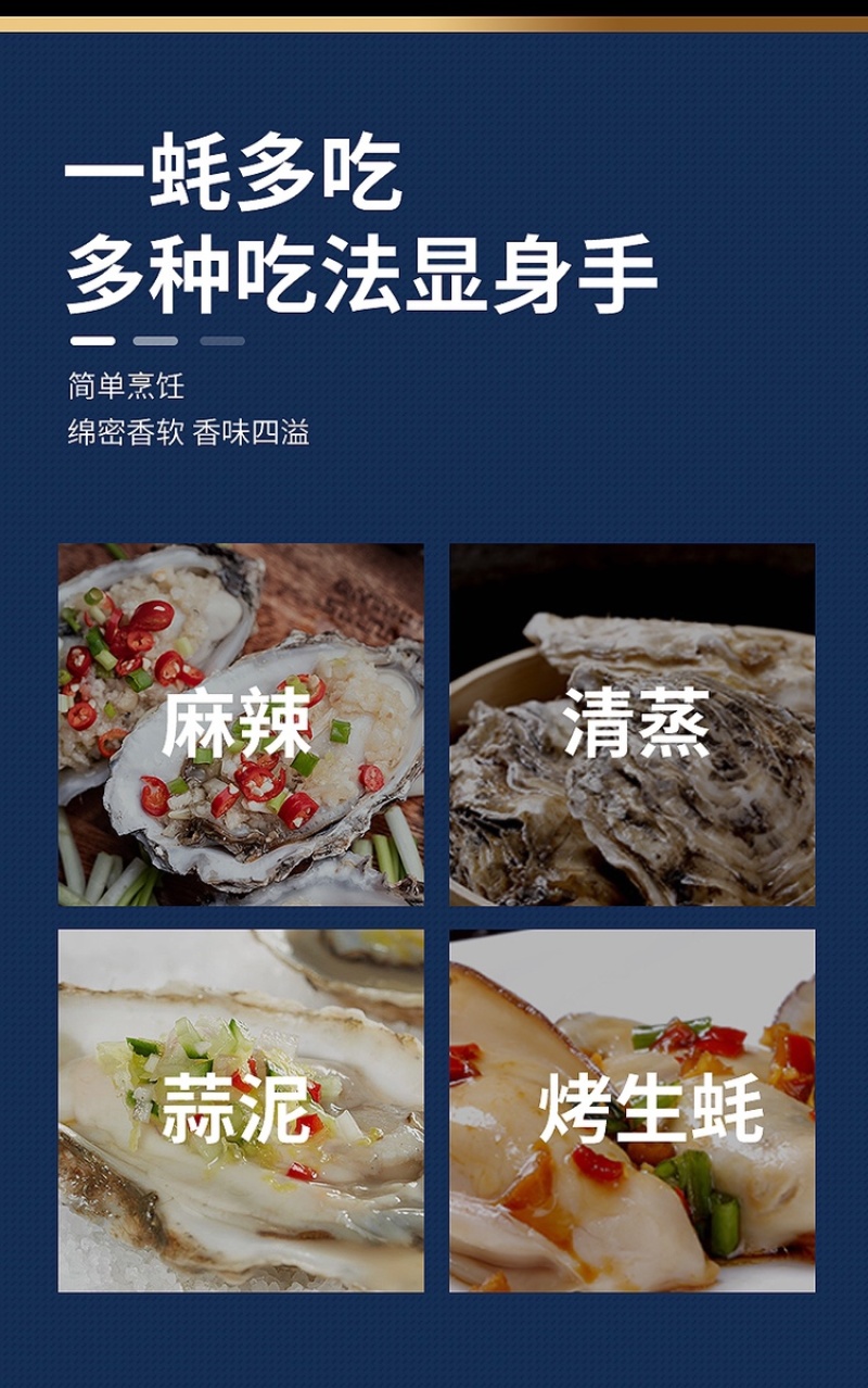 全壳牡蛎深海蚝烧烤生蚝地摊蚝高压锅生蚝大量批发
