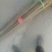 107杨树苗500亩