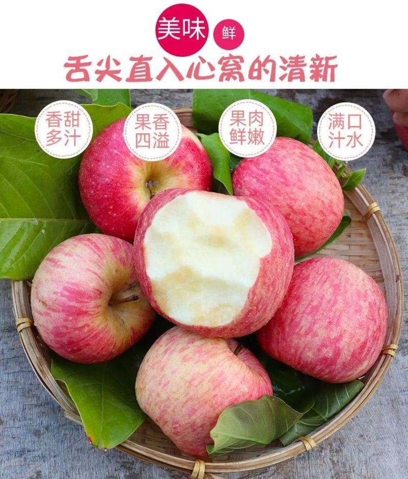 【批发价】新鲜红富士苹果丑苹果冰糖心苹果水果10斤整箱
