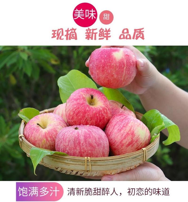 【批发价】新鲜红富士苹果丑苹果冰糖心苹果水果10斤整箱