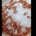 优质红罗非《彩虹雕，豹纹红》大量出售，欢迎来电咨询订购！