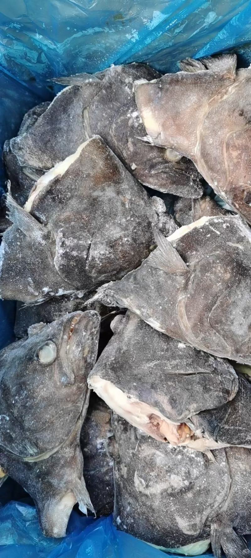 大西洋。深海鸦片鱼头30-500，可视频看货。