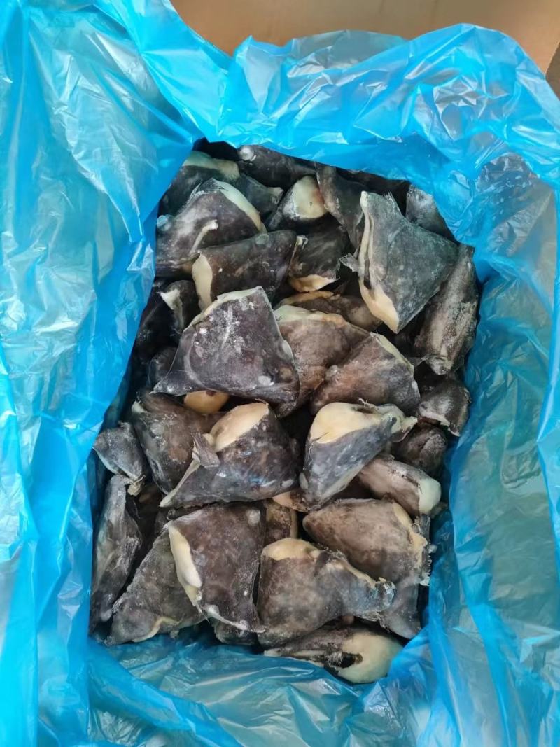 大西洋。深海鸦片鱼头30-500，可视频看货。