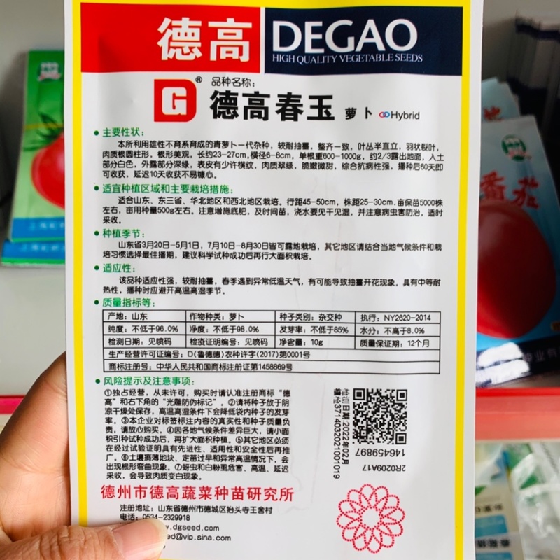 德高春玉萝卜种子青萝卜种子一代杂交脆嫩微甜春秋两用