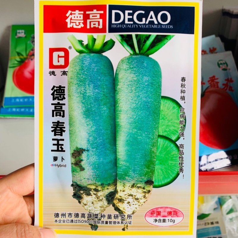 德高春玉萝卜种子青萝卜种子一代杂交脆嫩微甜春秋两用