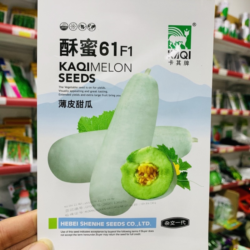 正宗酥蜜61薄皮甜瓜种子杂交一代香甜爽口灰白绿色甜瓜