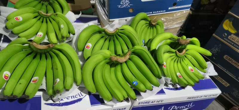 菲律宾进口香蕉保质保量青蕉二黄蕉大量现货售后损坏（包赔）
