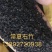 销售常夏石竹种孑，量大可议价