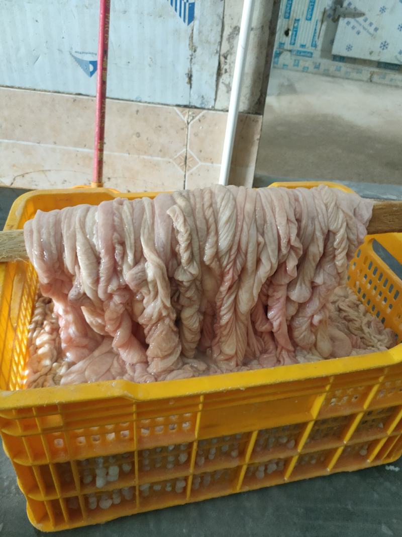 猪副产品