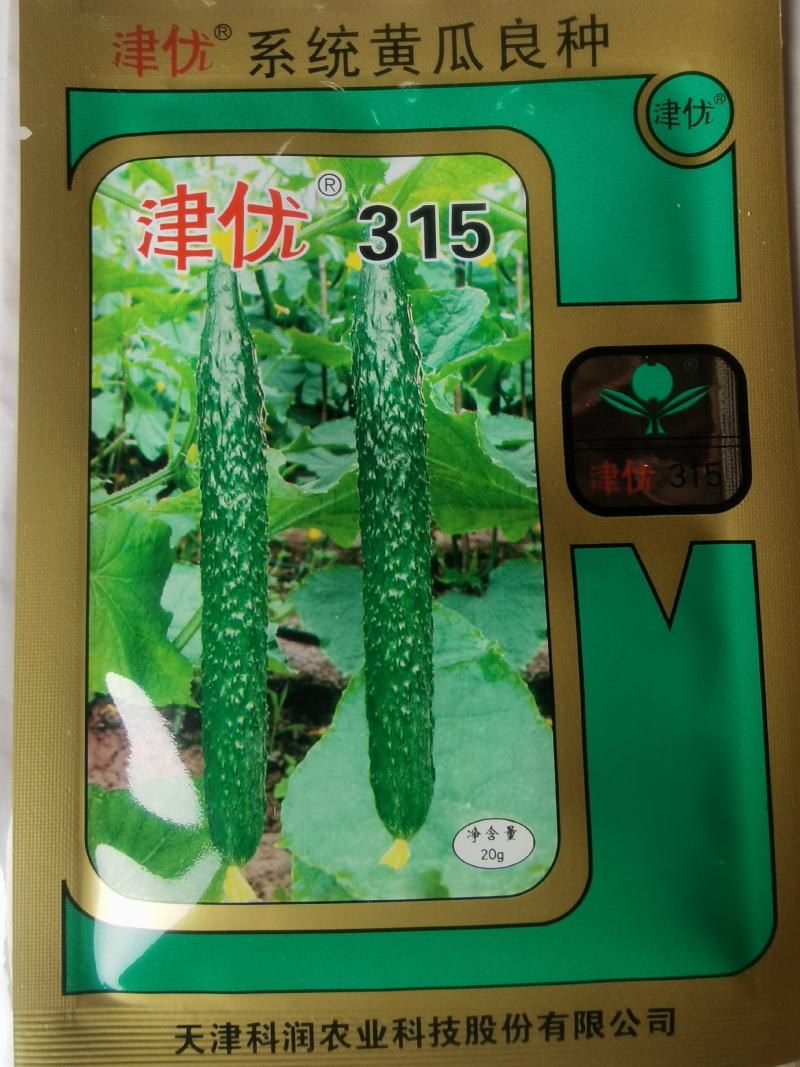 密刺黄瓜种子津优315抗寒抗病高产优质