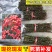 正宗大红袍花椒树九叶青花椒苗麻辣花椒果树苗当年结果