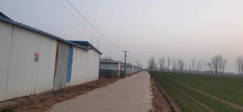 温室大棚出租，出售交通方便，水电，住房齐全