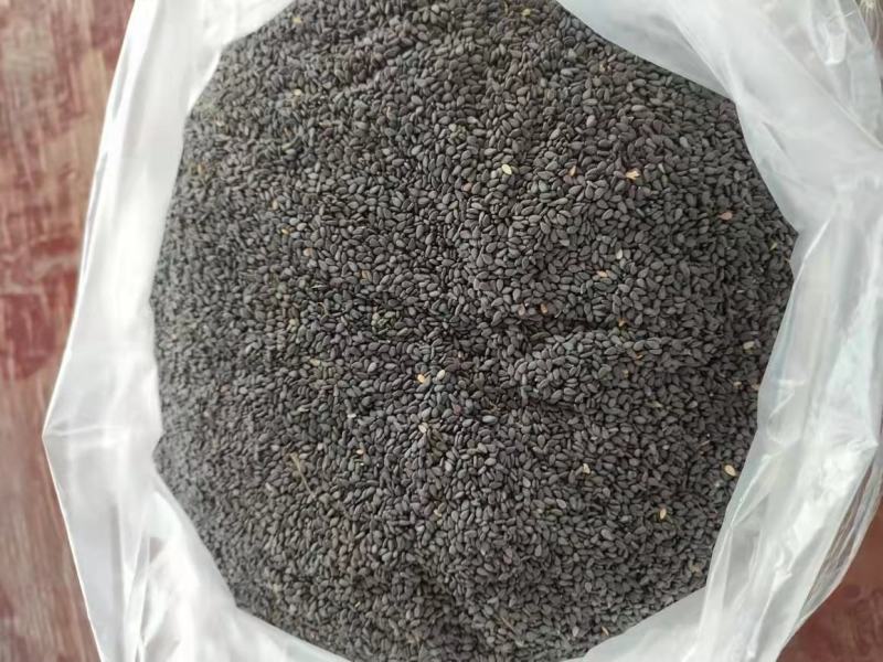 缅甸黑芝麻