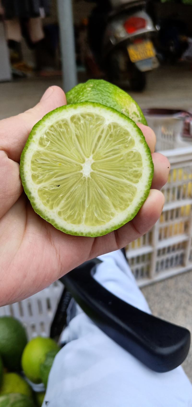 (原产地-种植户)福建漳州台湾柠檬四季青柠有籽