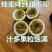 [正品优选]当年结果百香果钦蜜9号纯甜黄金百香苗当年结果