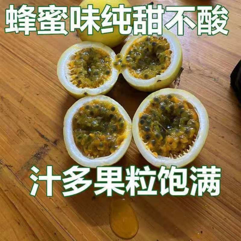 [正品优选]当年结果百香果钦蜜9号纯甜黄金百香苗当年结果