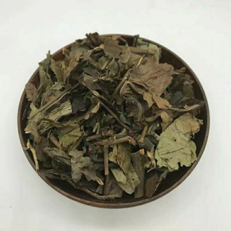 肿节风肿节风新货肿节风无硫九节风茶接骨莲可打粉