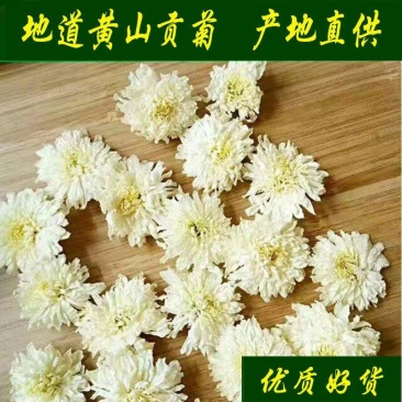【黄山发货】头茬黄山贡菊花茶不苦过筛非七月花太阳花包邮
